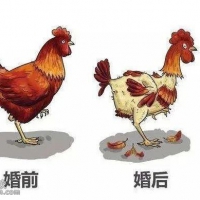 婚前婚后的对比天地之别,在男人眼里女人重要过吗？