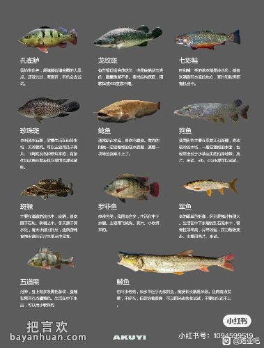 DD7F000ECB39FFF305D516D06E399DBC.jpg