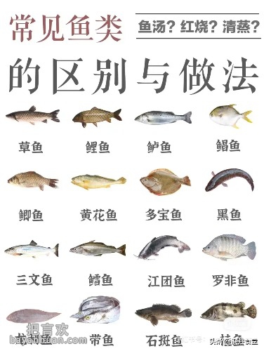10c22f38b18a9533d805e99190ec05c3.jpg