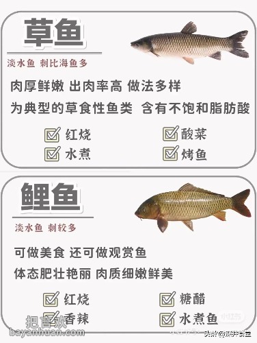 b9a461b8252c87c73e822b63b547f851.jpg