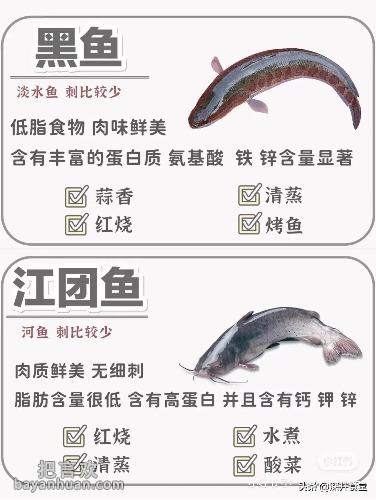 a164be17aacc31375d6f93c909600c96.jpg