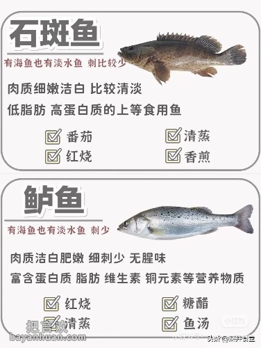 d4953d2c15a10a4389a8669cbb64e634.jpg