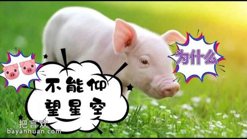 5366d0160924ab1859cfea979eafcec67a890b11@f_auto.jpeg
