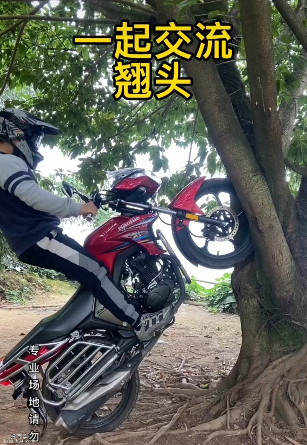 摩托车翘头