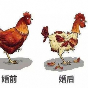 婚前婚后的对比天地之别,在男人眼里女人重要过吗？